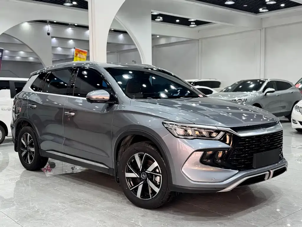 BYD Pro New Energy — фото 5