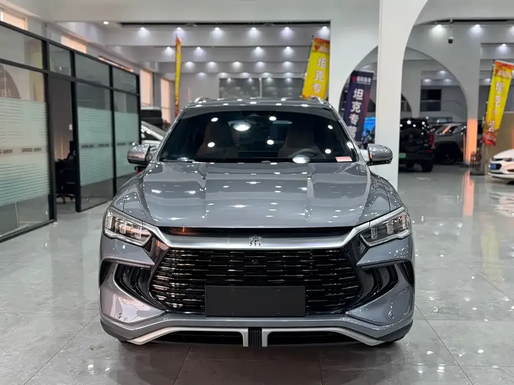 BYD Pro New Energy — фото 9