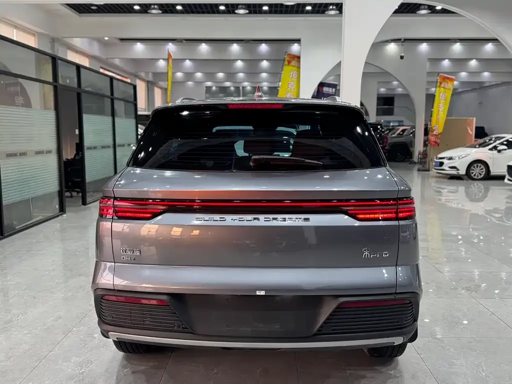 BYD Pro New Energy — фото 4