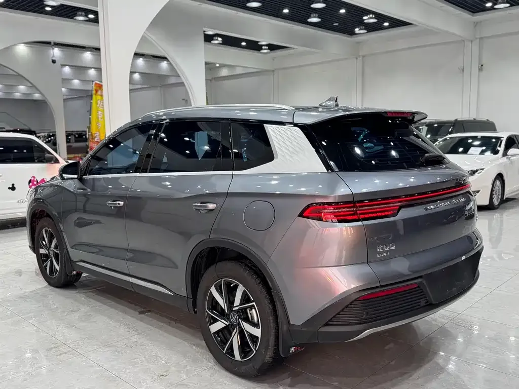 BYD Pro New Energy — фото 8