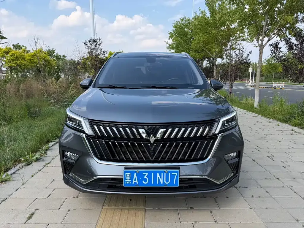 Wuling Jiachen 2022 из CN, фото 5