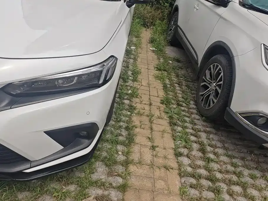 Honda Civic — фото 10