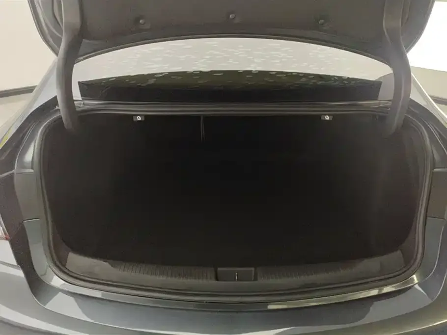 Buick Regal — фото 10
