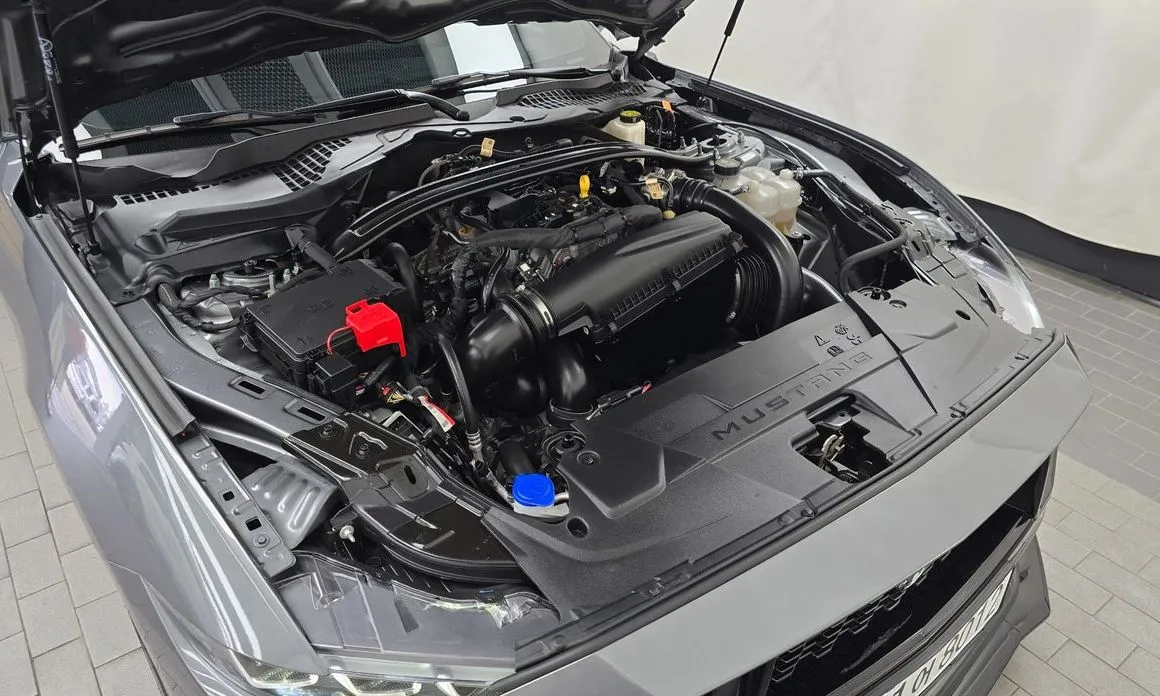 Ford Mustang 2025 из KR, фото 4
