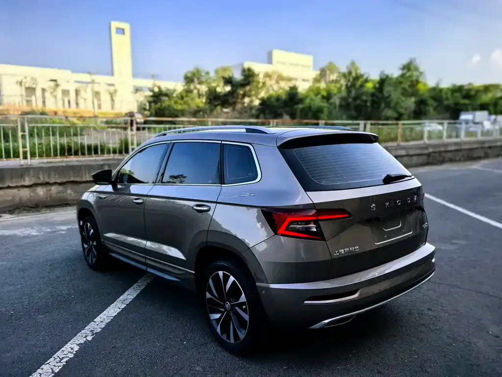 Skoda Karoq — фото 5