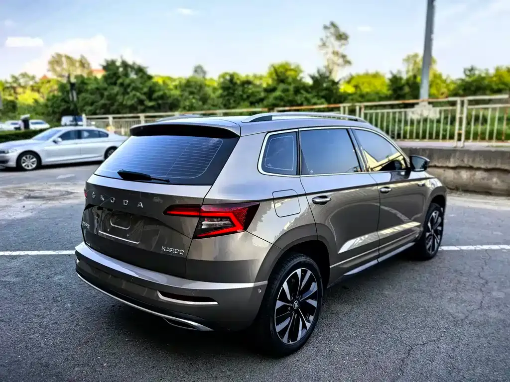 Skoda Karoq — фото 8