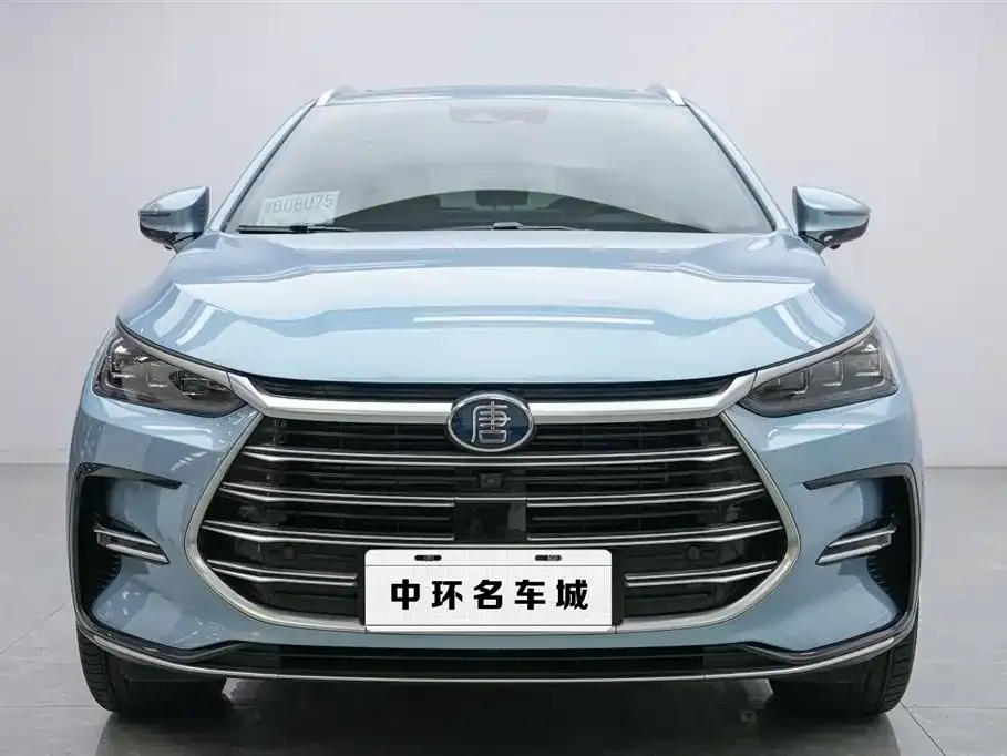 BYD Tang New Energy — фото 3