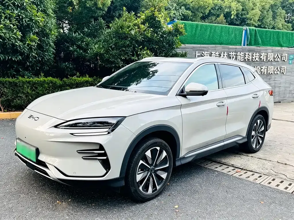 BYD PLUS New Energy — фото 1