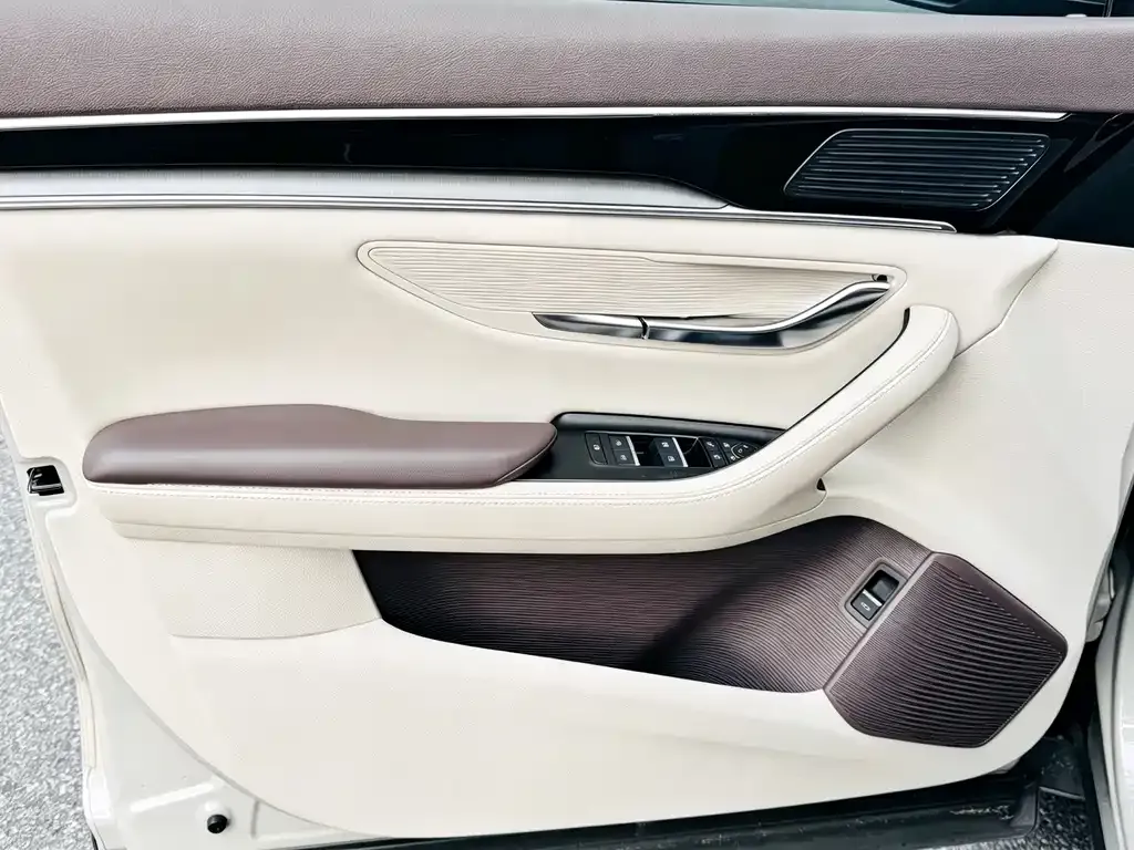 BYD PLUS New Energy — фото 4