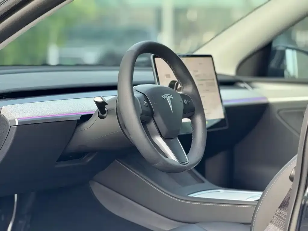 Tesla Model Y — фото 6