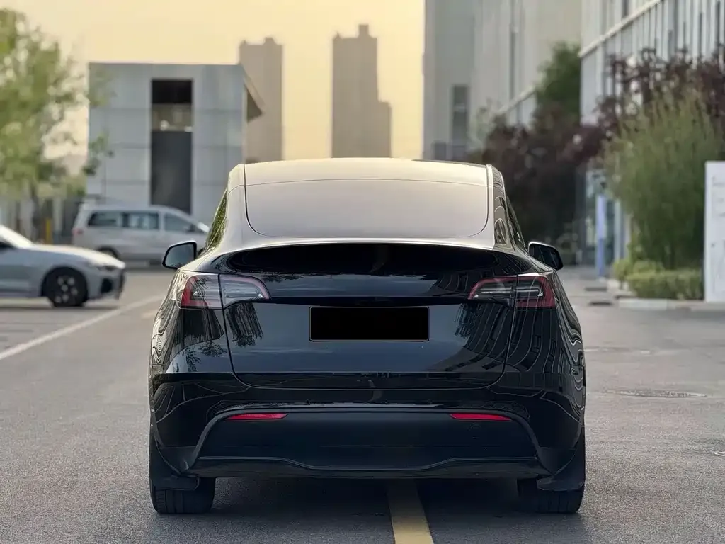 Tesla Model Y — фото 8