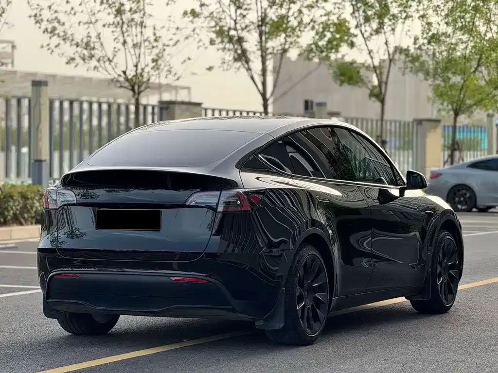 Tesla Model Y — фото 5