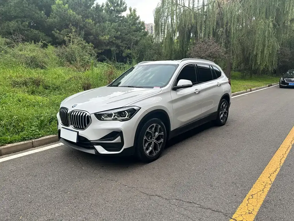 BMW X1 — фото 1