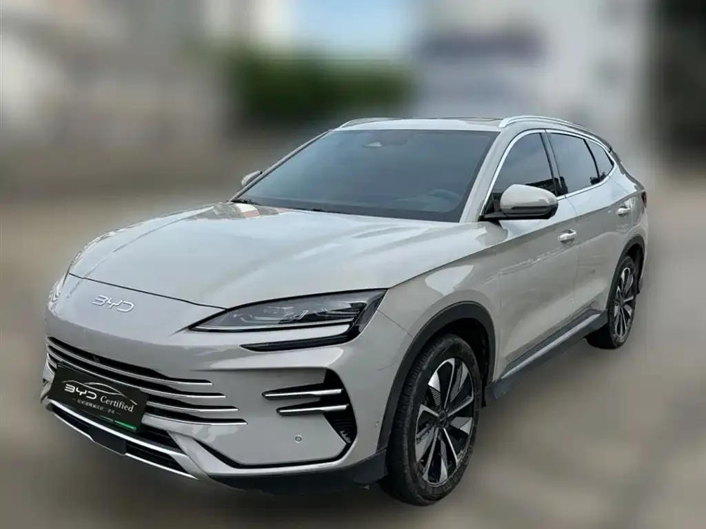 BYD PLUS New Energy — фото 1