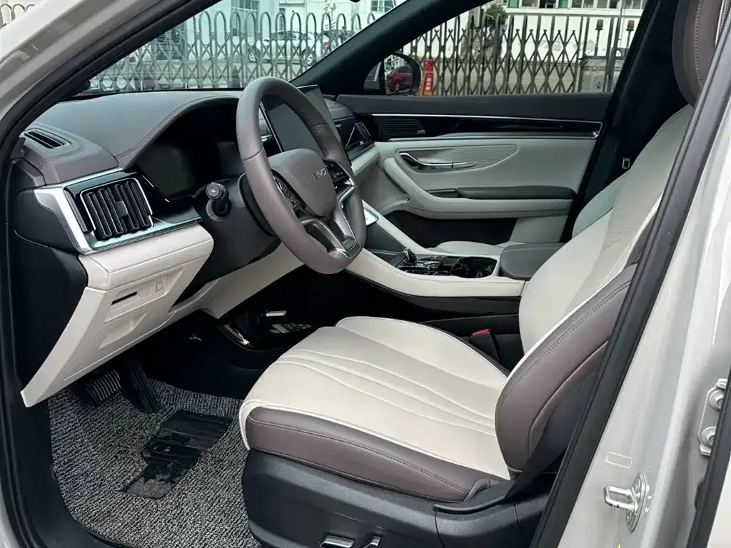 BYD PLUS New Energy — фото 2