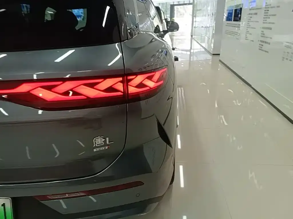BYD Tang L — фото 2
