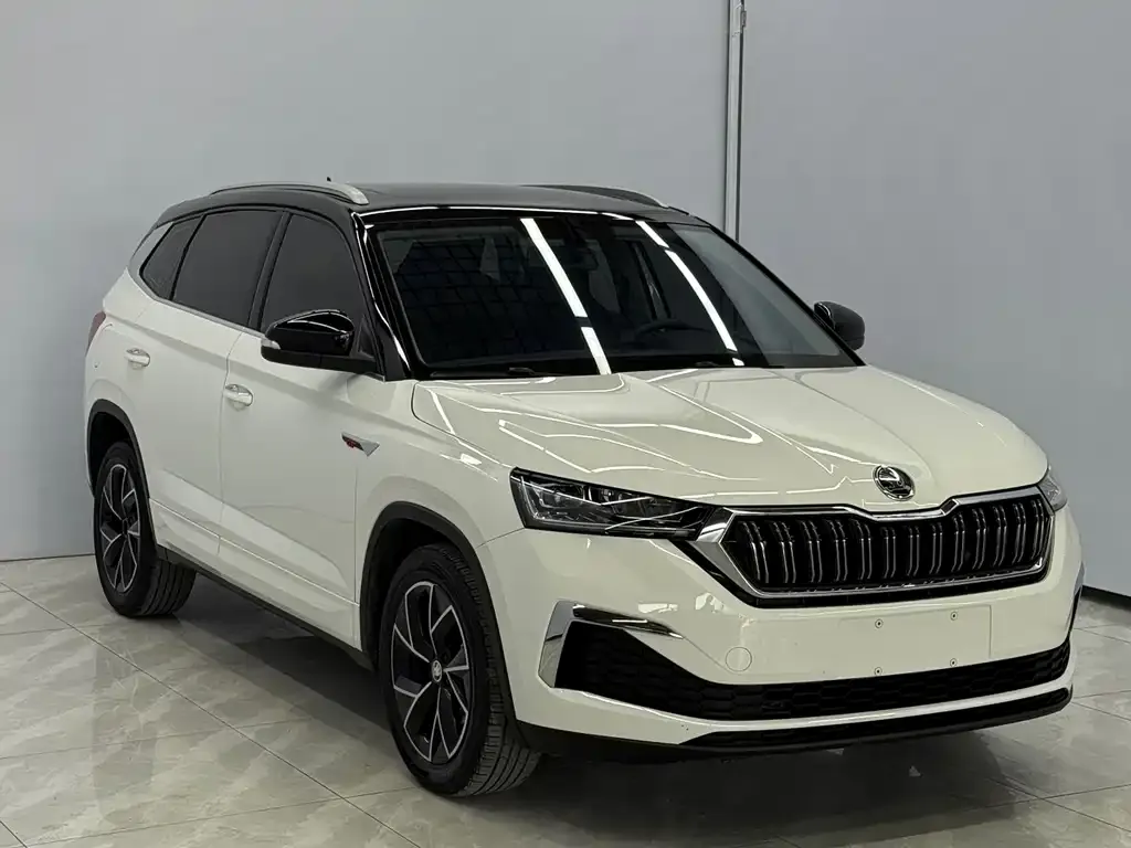 Skoda Kamiq — фото 6