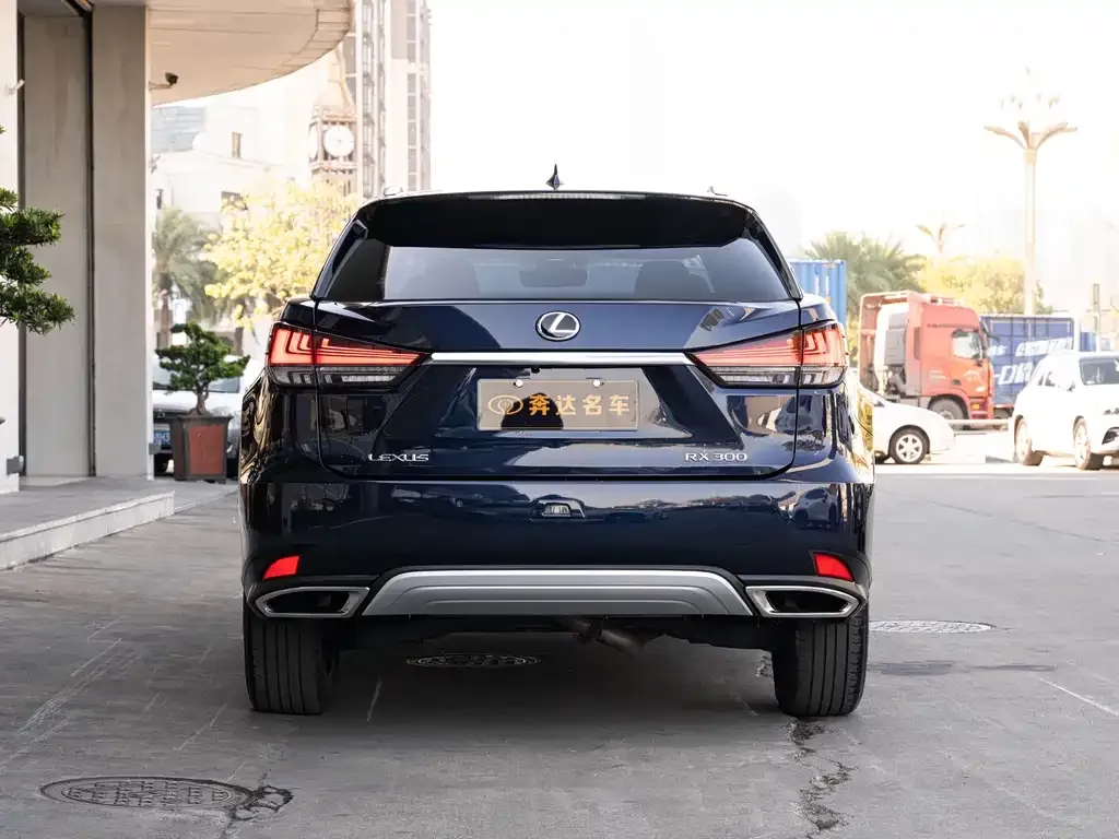Lexus RX — фото 6