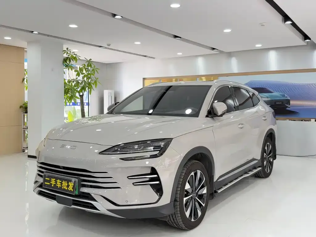 BYD PLUS New Energy — фото 1