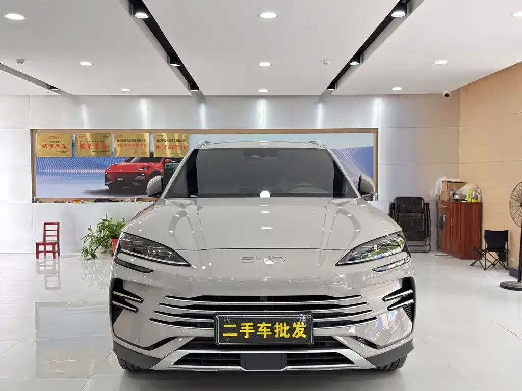 BYD PLUS New Energy — фото 6