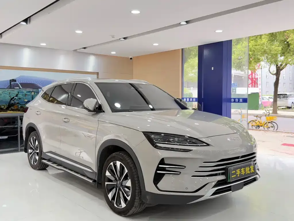BYD PLUS New Energy — фото 3