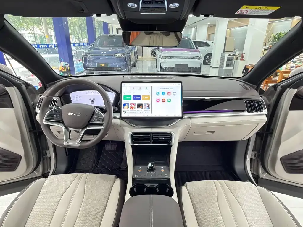 BYD PLUS New Energy — фото 10