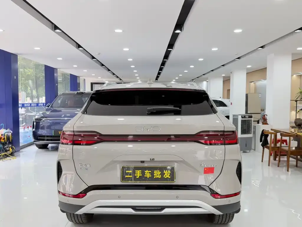 BYD PLUS New Energy — фото 2