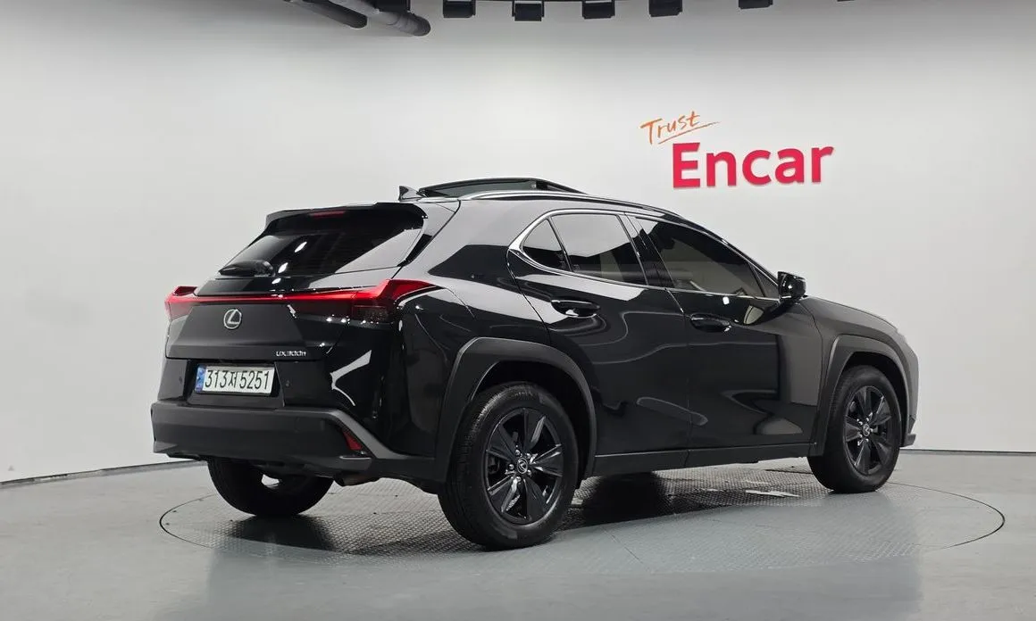Lexus UX 2025 из KR, фото 2