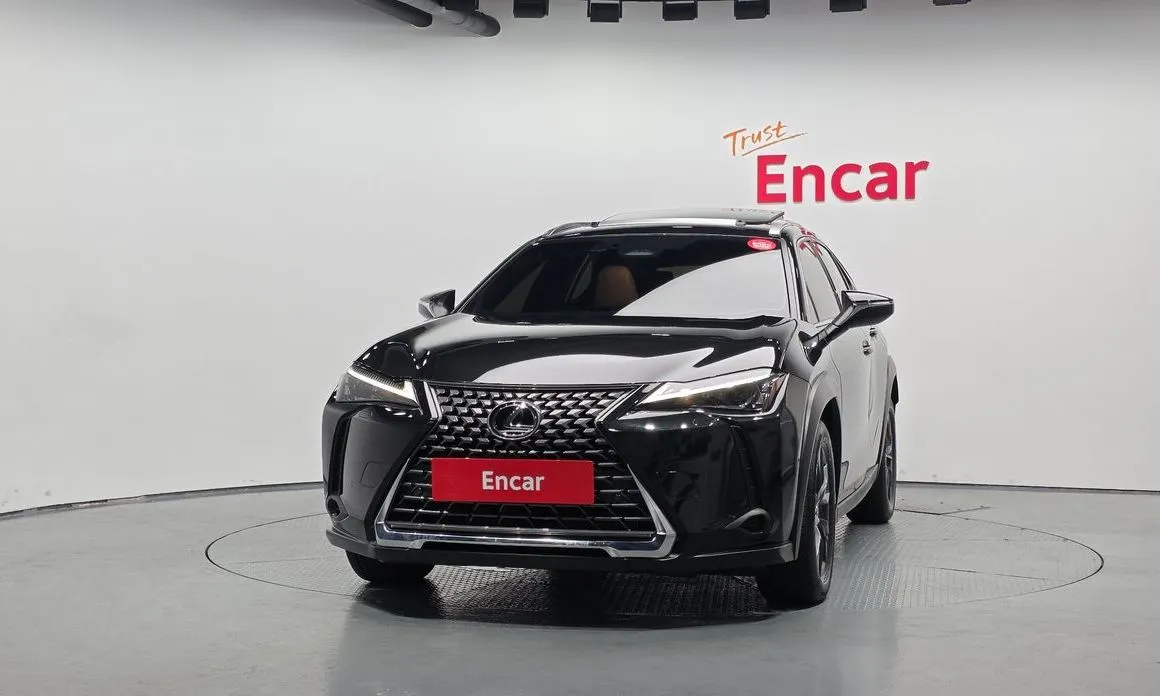 Lexus UX 2025 из KR, фото 4