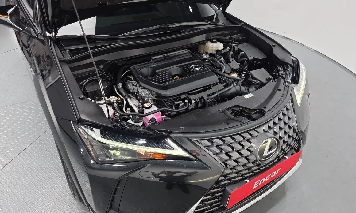 Lexus UX 2025 из KR, фото 8