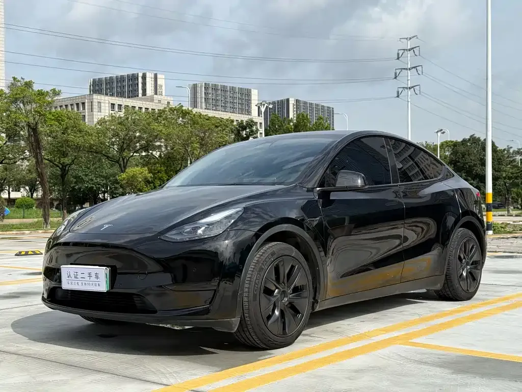 Tesla Model Y — фото 1