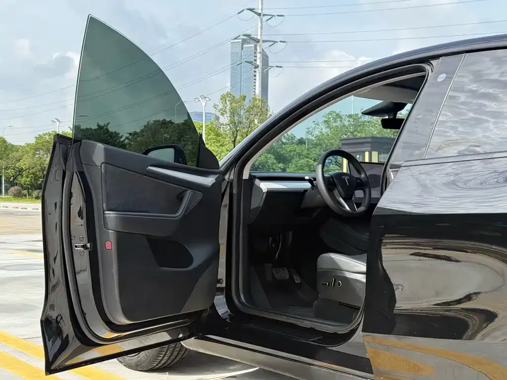 Tesla Model Y — фото 9