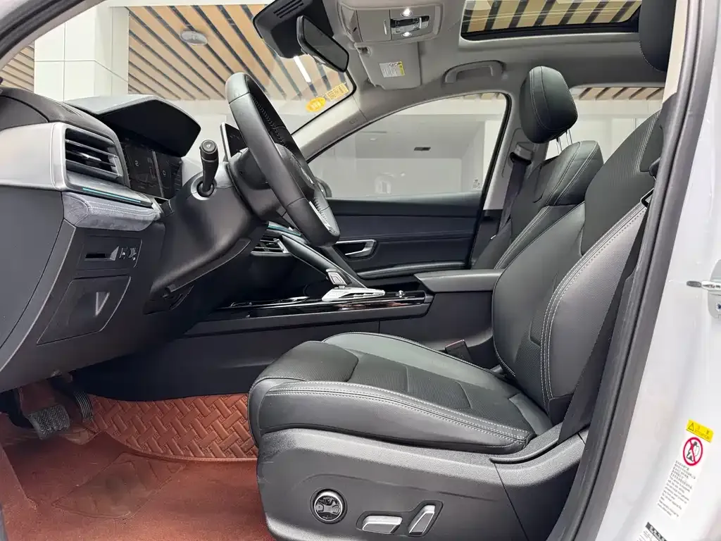 BYD Pro New Energy 2021 из CN, фото 7