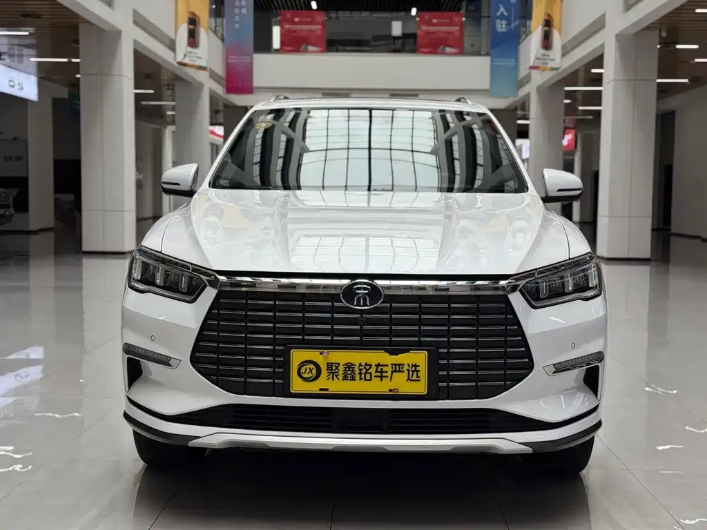 BYD Pro New Energy 2021 из CN, фото 3