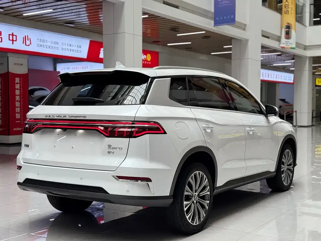 BYD Pro New Energy 2021 из CN, фото 10
