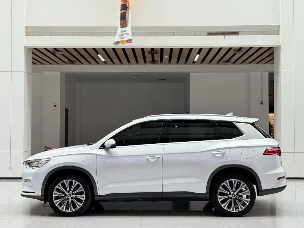 BYD Pro New Energy 2021 из CN, фото 2