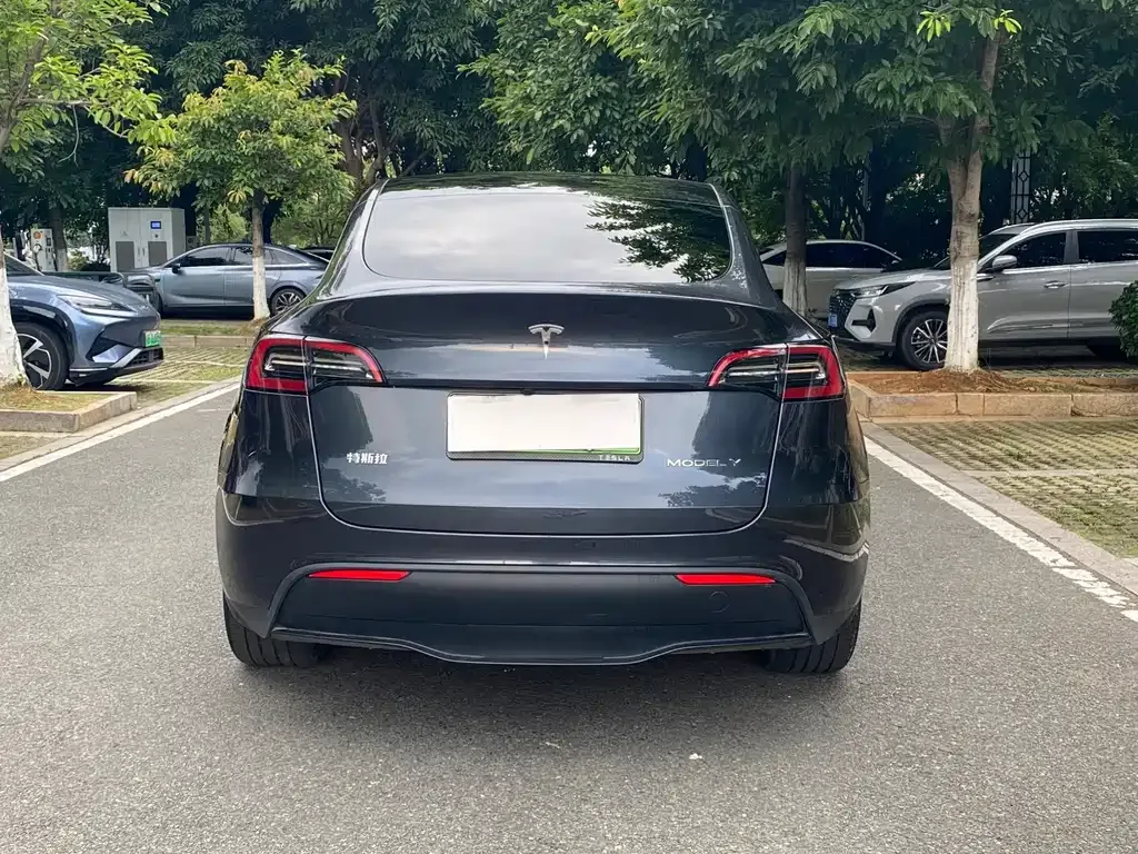 Tesla Model Y — фото 10