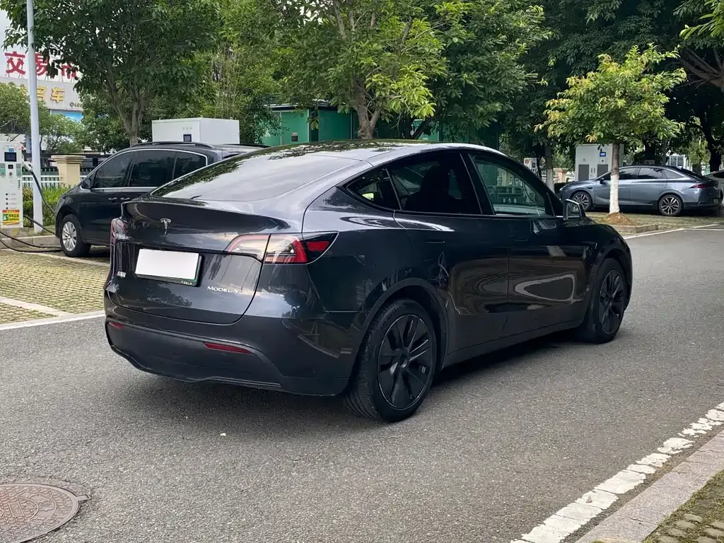 Tesla Model Y — фото 5