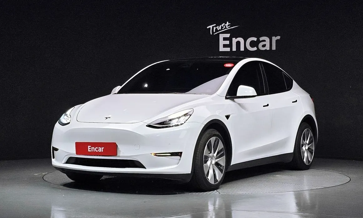Tesla Model Y — фото 1