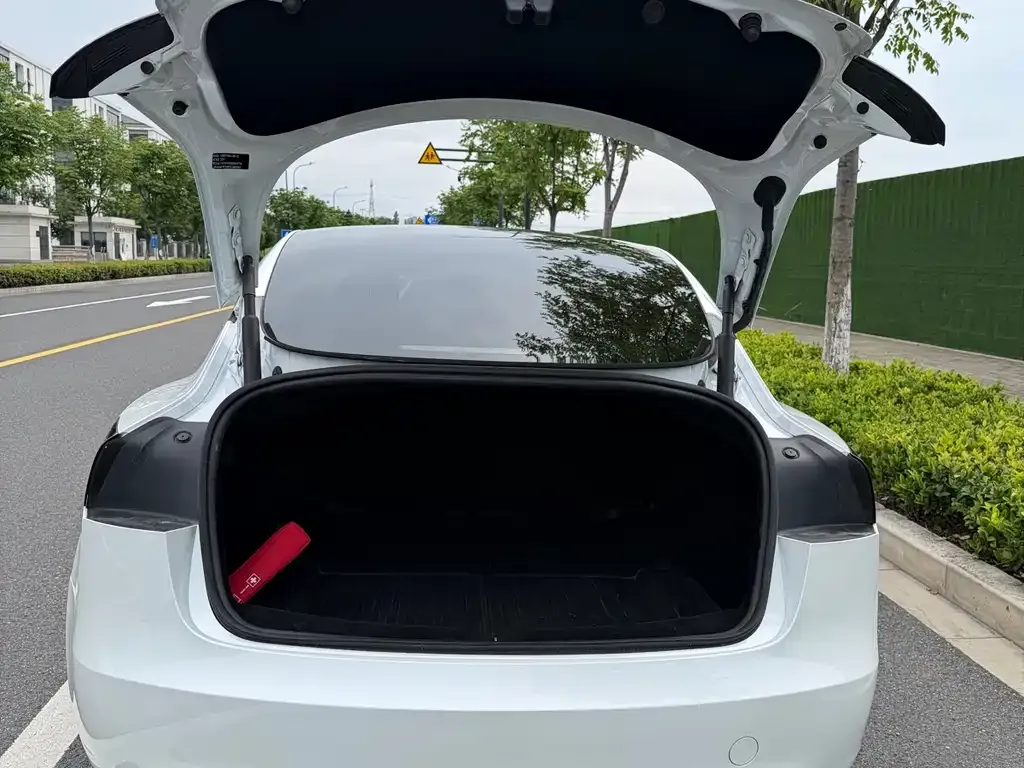 Tesla Model 3 — фото 6