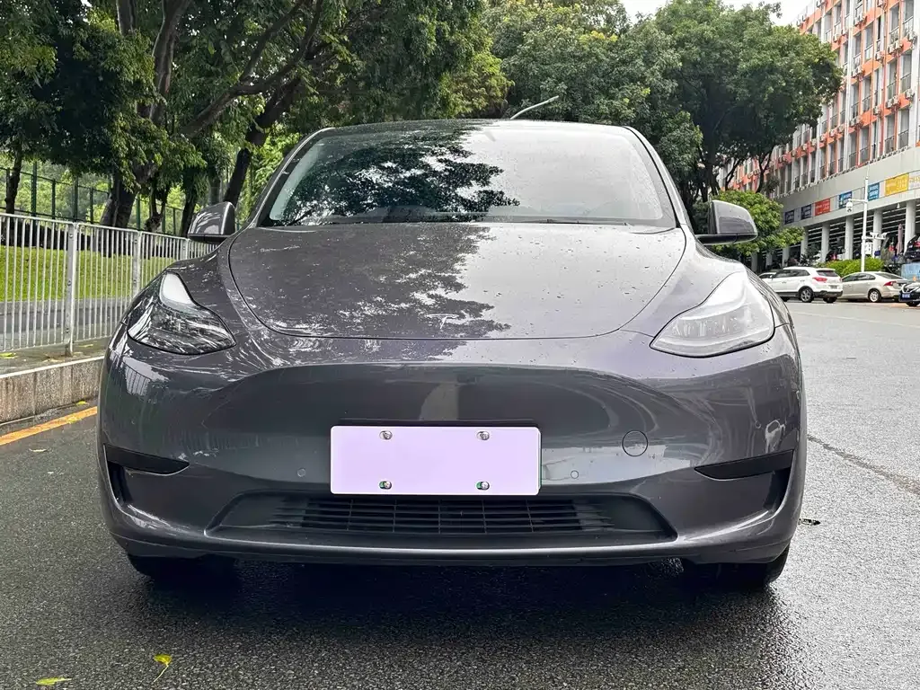 Tesla Model Y — фото 3