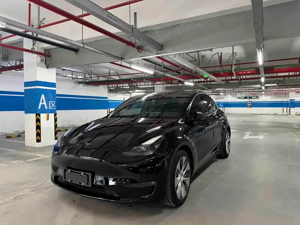 Tesla Model Y — фото 1