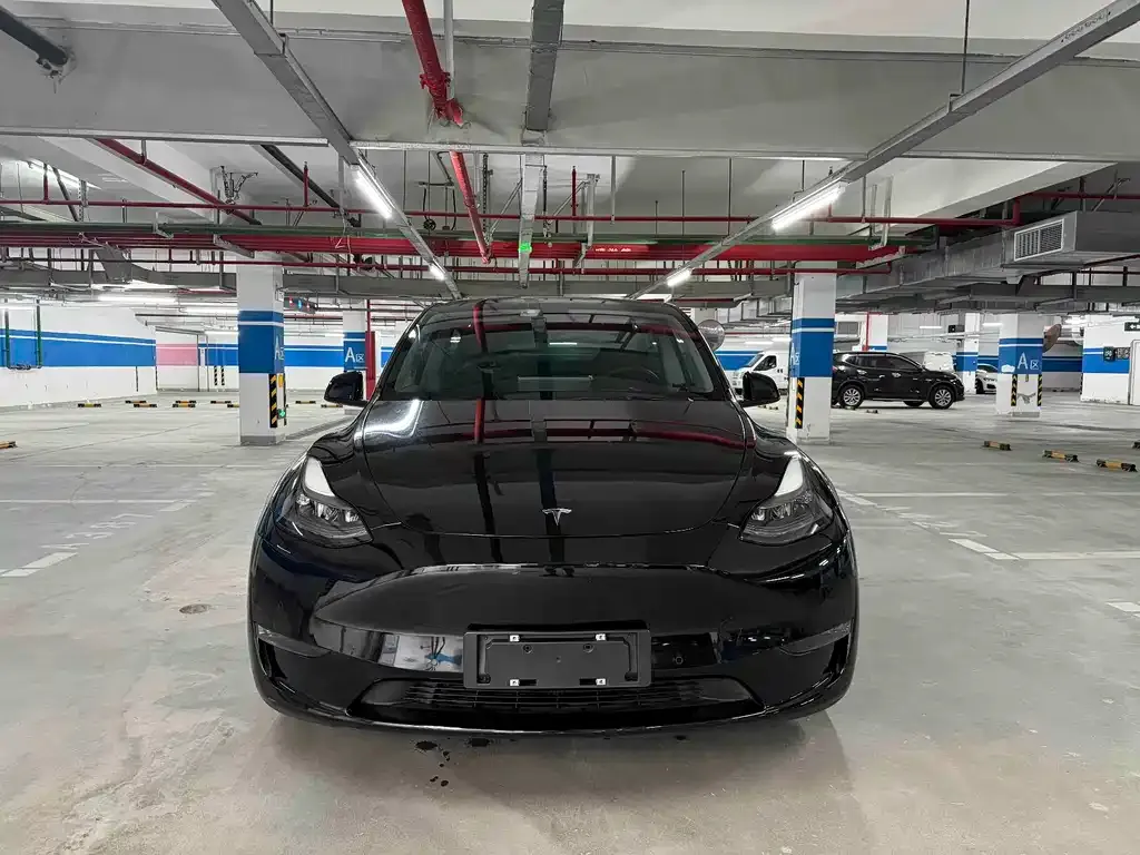 Tesla Model Y — фото 5