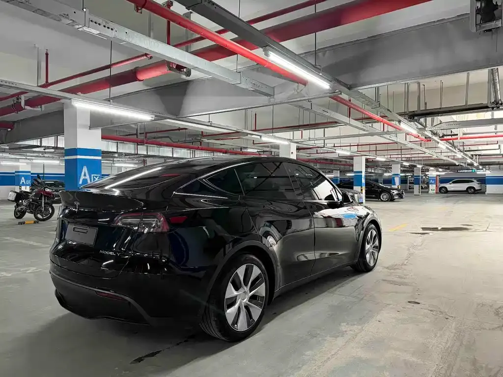 Tesla Model Y — фото 9