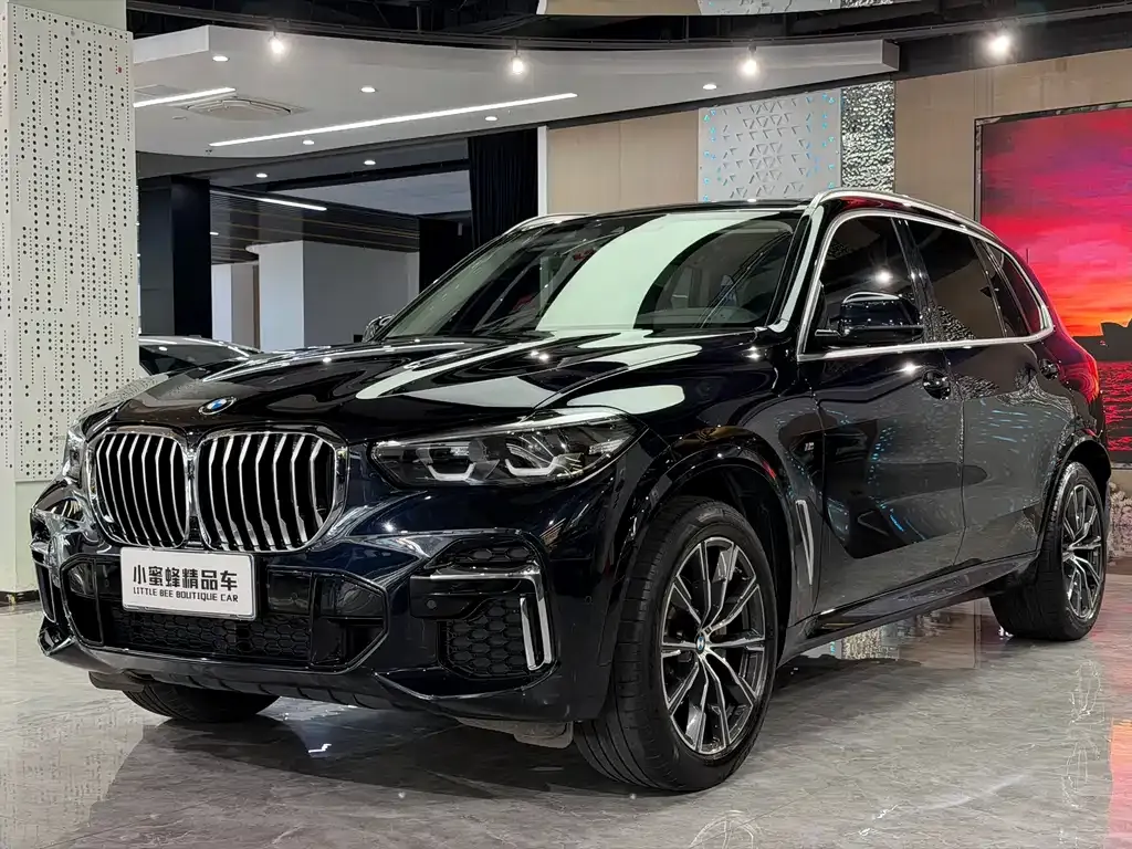 BMW X5 — фото 1