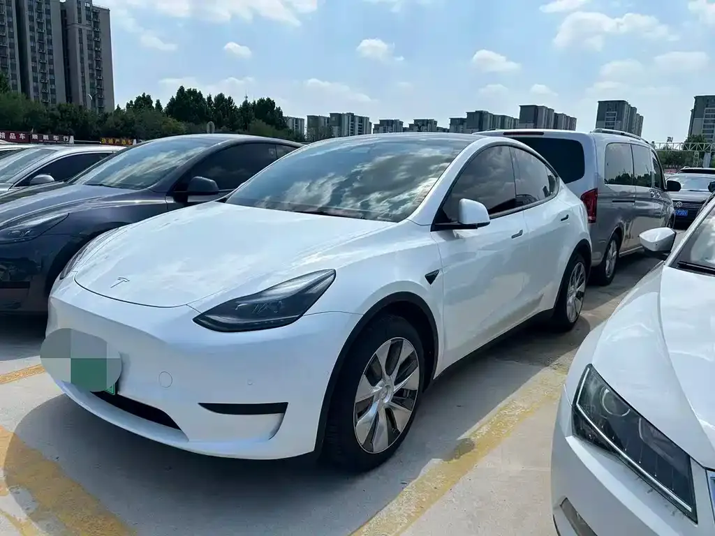 Tesla Model Y — фото 1