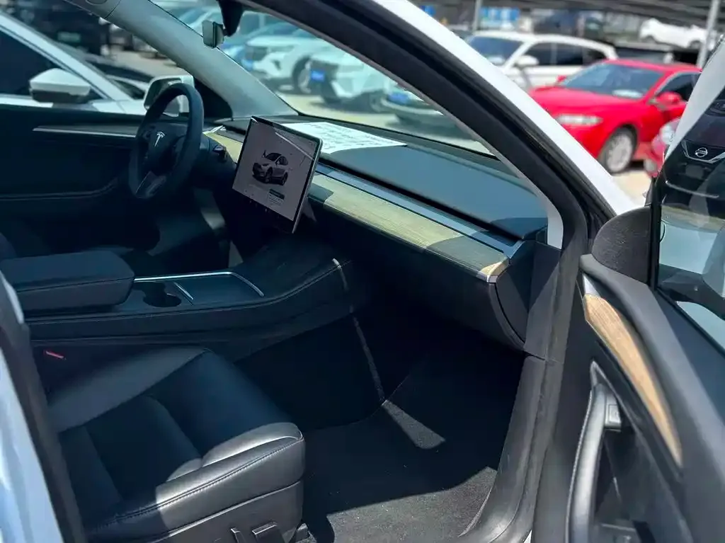 Tesla Model Y — фото 10