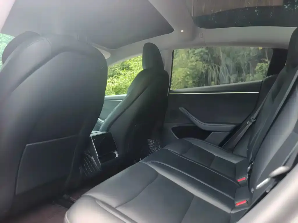 Tesla Model 3 — фото 2