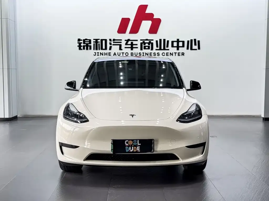 Tesla Model Y — фото 2