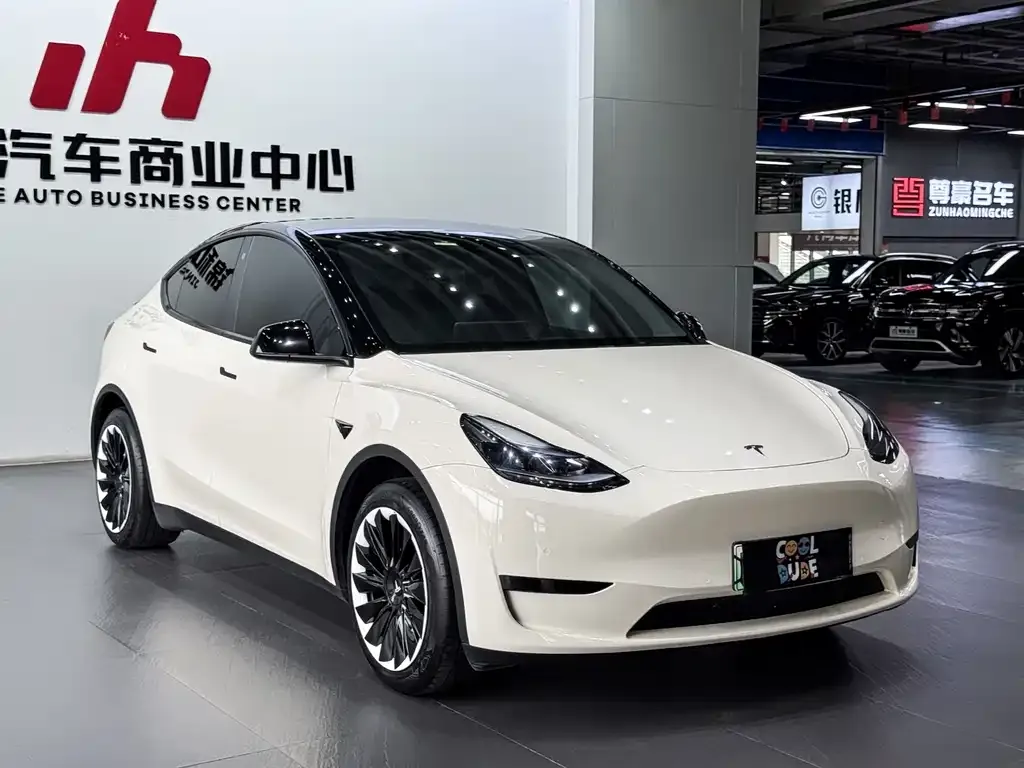 Tesla Model Y — фото 3